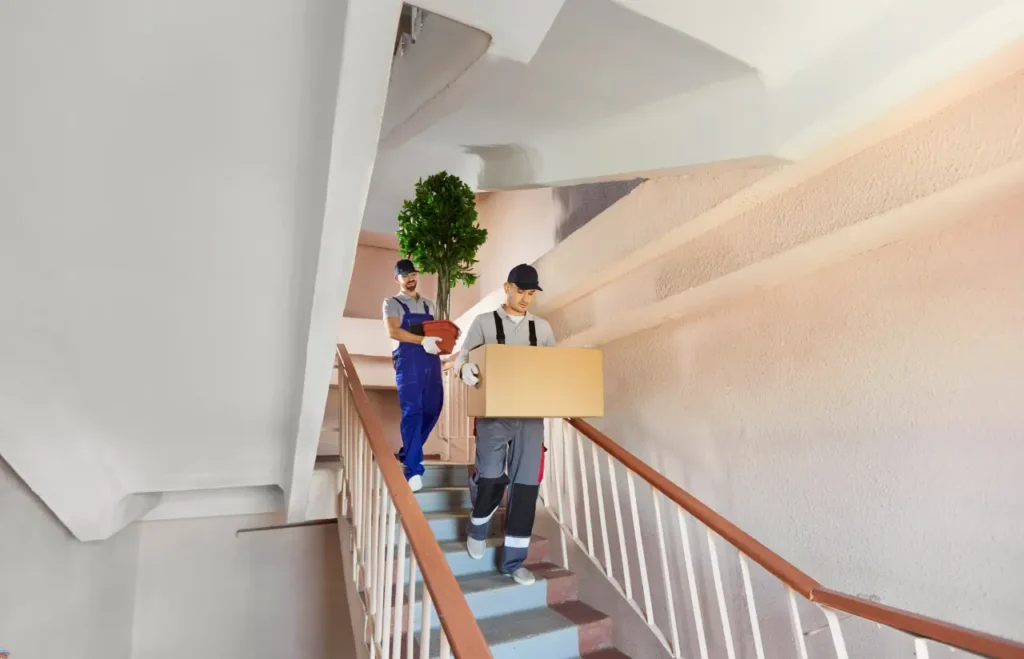 movers packers in Dubai